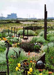 Derek Jarman's garden